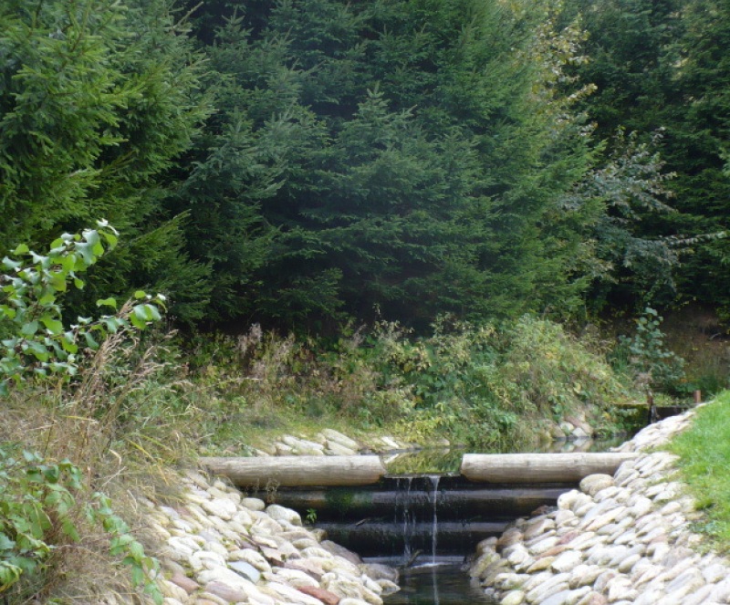 P1100679.JPG