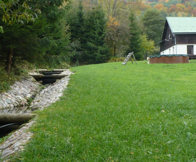 P1100678.JPG